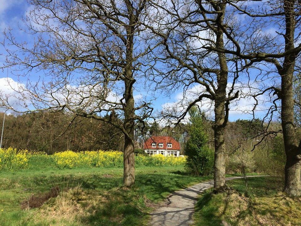 B&B De Zulthe Roden Esterno foto